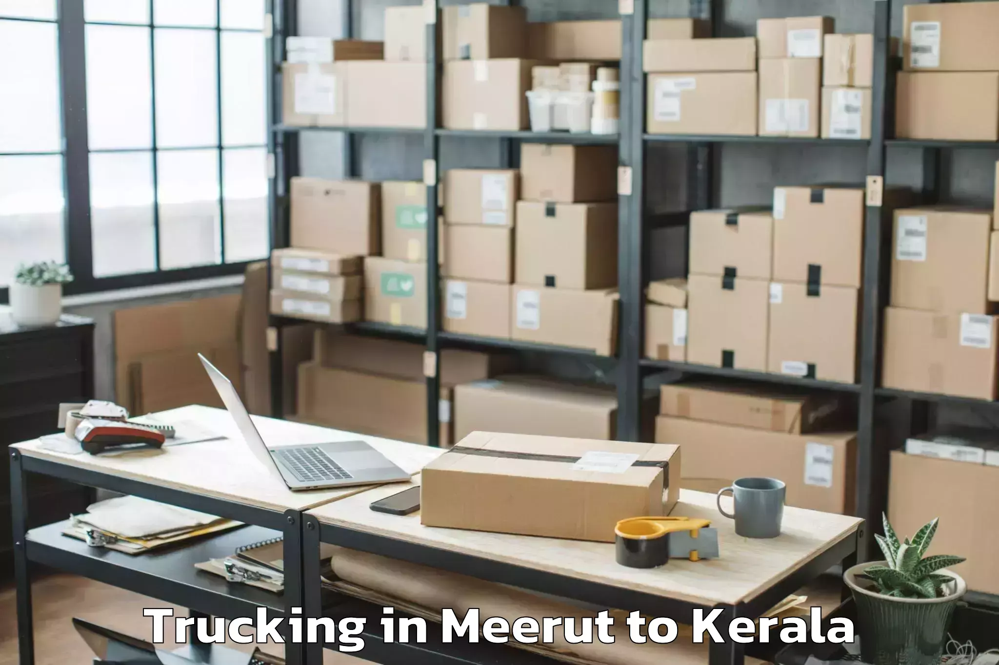 Professional Meerut to Thenhipalam Trucking